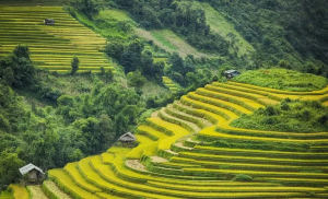 Du lịch Hà giang